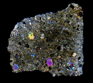 Meteorite NWA 8214 - rare CK5 Carbonaceous great Chondrules - Thin Section - Picture 1 of 7