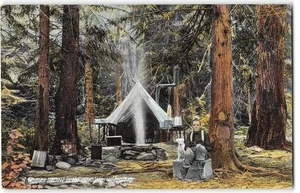 Antike Postkarte FRAU EINSIEDLER Zeltlager Hund Bergwildnis 1910er Washington - Bild 1 von 2