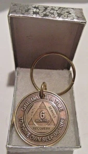 Anonyme Alkoholiker AA 6 Monate Bronze Schlüsselanhänger Medaillon Medaille Münze Chip nüchtern - Bild 1 von 12