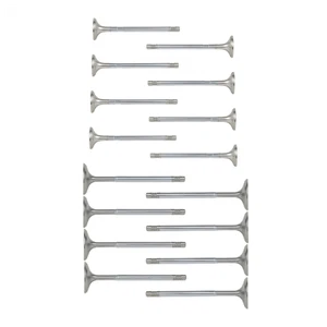 16Pcs Valves Intake and Exhaust Set for Mercedes-Benz W204 2007-0214 W212 S204 C - Afbeelding 1 van 6