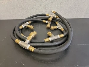 Dixon Air Supply Connection Hoses W/ Dixon Air Chief Brass 10ft. Long USED - Picture 1 of 10