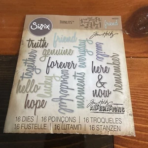Sizzix Thinlits Dies 16/Pkg By Tim Holtz-Friendship Script Words Used Complete - Picture 1 of 6