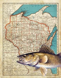 Señuelos vintage de colección de cabaña decoración de pared mapa del estado de Wisconsin - Imagen 1 de 1