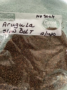Organic Arugula Microgreens - Picture 1 of 1