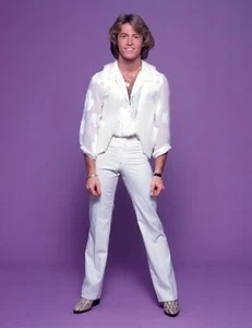 Foto brillante de Andy Gibb 8x10 - Imagen 1 de 1