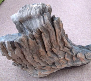 Japanese Keikaboku Stone Suiseki BONSEKI Viewing Art with Stand L35cm 10kg FS - Picture 1 of 11