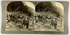 SV028_025 Stereoview Alaska Yukon River Drying Fish - Picture 1 of 1