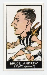 1933 Bob Mirams Caricatures Carreras (22) Bruce ANDREW Collingwood - Picture 1 of 2