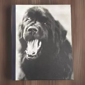 Gentle Giants - by Bruce Weber - First Edition - Bulfinch Press - COLLECTIBLE - Foto 1 di 9