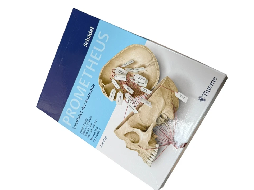 PROMETHEUS LernPaket Anatomie Schädel | 2016 | deutsch - Bild 1 von 2
