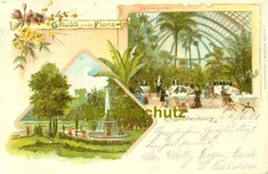 color Litho AK Berlin - Charlottenburg; Flora, 1901 - Bild 1 von 2