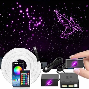 300PCS Car Headliner Star Light Kit Roof Twinkle Ceiling Lights Fiber Optic RGBW - Picture 1 of 12