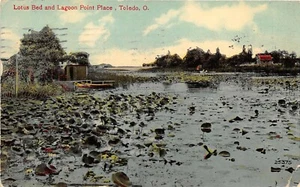 Toledo Ohio 1911 Postcard Lotus Bed and Lagoon Point Place - Picture 1 of 2