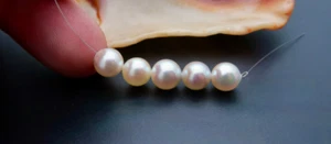 5PC NEW AAA HIGH GRADE JAPANESE AKOYA NEAR ROUND WHITE CREAM++ IRIDESCENT PEARLS - Picture 1 of 8