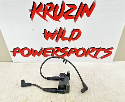 Harley Heritage Softail 2009 bobina de encendido + cables de bujía OEM HD Foto 1 de 4