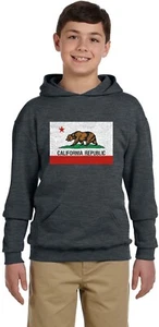 Youth Hoodie Kids Hooded Sweatshirt California Flag Bear Design Boys Shirt - Picture 1 of 1