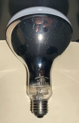 IWASAKI EYE HID MERCURY VAPOR 100 WATT / R40 SIZE LAMP / 24K HOURS / 3100 LUMENS - Image 1 of 2