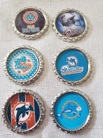 Miami Dolphins Magnets Cover