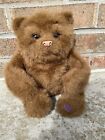 Haunted Doll Bear Talks Moves Extremely Active Peter 14