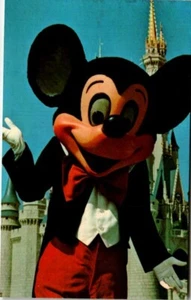 Chrome Walt Disney World Postcard Mickey Mouse Castle UNP Florida FL - Bild 1 von 2