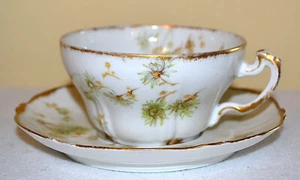 ANTIQUE LIMOGES FRANCE THEODORE HAVILAND FLORAL, GOLD TRIM CUP & SAUCER SET - Bild 1 von 5