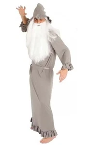 GANDALF WIZARD HARRY POTTER CHILD BOYS BOOK WEEK FANCY DRESS HALLOWEEN COSTUME - Bild 1 von 1