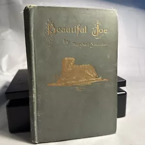 1903 Beautiful Joe An Autobiography, Marshall Saunders Dog HC Book Charles Bane - Picture 1 of 9
