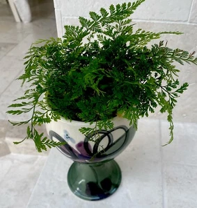 ART POTTERY goblet FOLLETTE  7 in. Green/Beige  Floral , Signed; Use as Planter - Picture 1 of 4