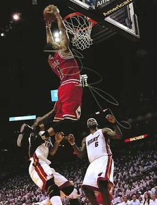 Derrick Rose Autographed Signed "BULLS" 8x10 photo Elite Promotions & Graphz Au - Picture 1 of 1