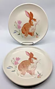 Set 2 Piatti Primaverili Pasqua Coniglietto Melamina Coniglio, Soglia, 8,75" - Foto 1 di 5