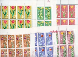 1978 Bulgarien Flora seltene Blumen kompletter Satz 6 Marken auf Blättern x 20 postfrisch ** - Bild 1 von 7