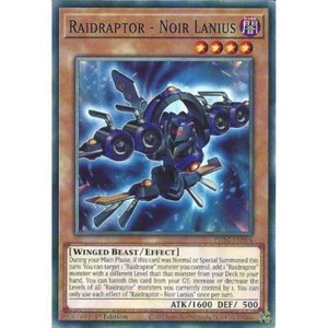 PHNI-EN004 Raidraptor - Noir Lanius : Common Card : 1st Edition : YuGiOh TCG - Picture 1 of 3