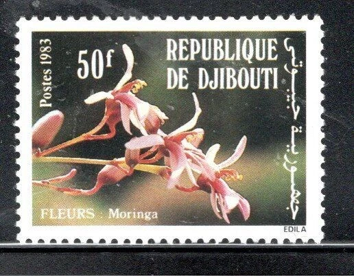 DJIBOUTI SOMALIA COAST AFRICA STAMPS 完好从未 HINGED 批量 1799J — 第 1/1 张图片