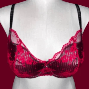 Plus Size Paramour Red/Black Lace Bra Size 36DD - Picture 1 of 4