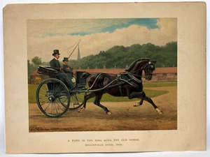 Vintage Lithograph A TURN IN THE RING WITH THE OLD HORSE Brookfield Stud 1890 - Picture 1 of 2