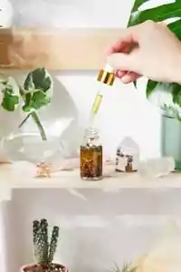 Anti Aging / Youth Serum / Facial Serum / Butter Me Up Organics - Picture 1 of 8