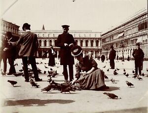 ITALIE VENISE - Année 1906 Les pigeons de la place St MARC