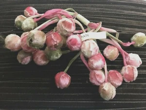 vintage 1940s velvet pink green berries hand wrapped 1 bundle made in Japan - Picture 1 of 7