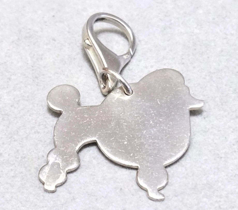 Tiffany & Co. Ag925 Usado Caniche Bolso Dije Llavero Sin Caja Bolsa Foto 1 de 4