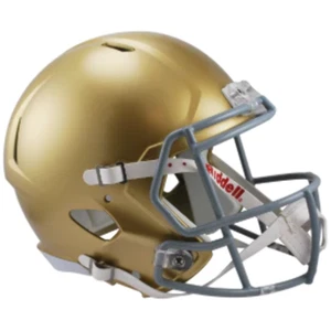 Notre Dame Fighting Irish Full Size Speed Replica Football Helmet- NCAA. - Picture 1 of 5