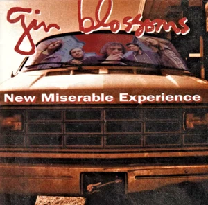 Gin Blossoms New Miserable Experience CD 1992 - Foto 1 di 4