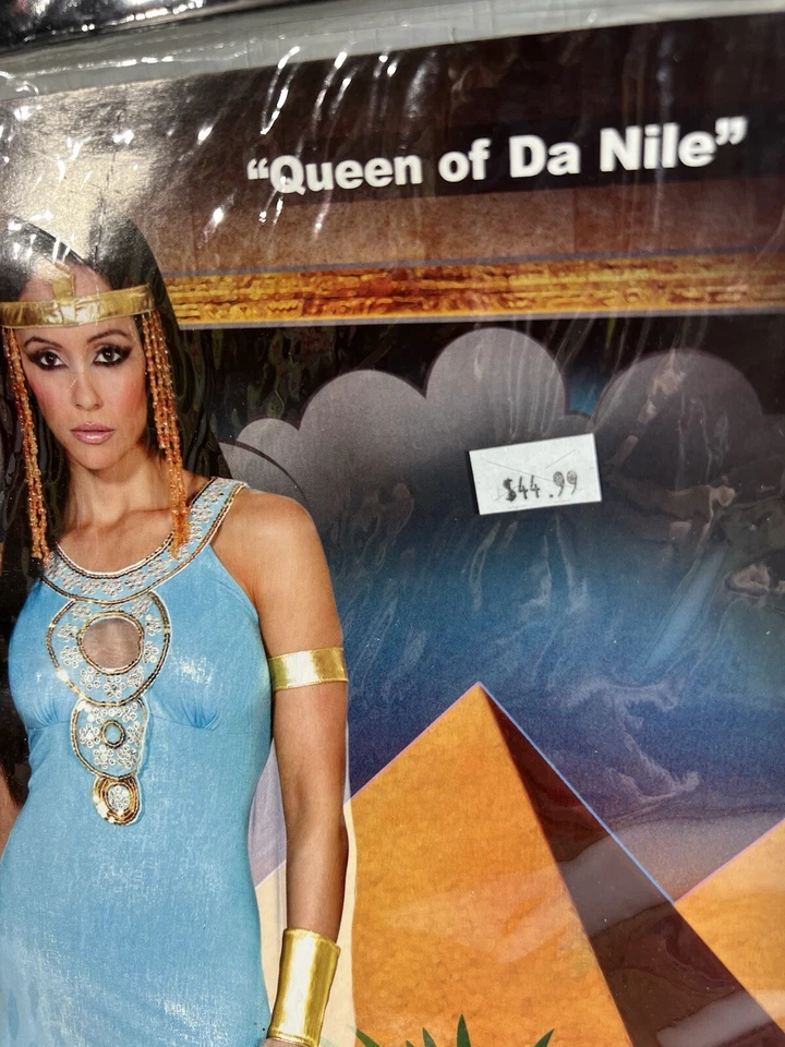 Costumes for All Occasions Rl5077lg Large Queen of Da Nile