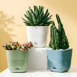 Home Office Decor Green Plant Plastic Plant Flower Pot Mini Square Colorful - Picture 1 of 10
