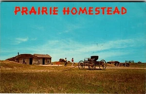Postcard SD Prairie Homestead Buggy Tourists Dugout Sod Signs Panoramic View - Picture 1 of 2