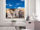 Sichtschutz Fensterfolie Folie Farbig fr Kinderzimmer Katzenkinder
