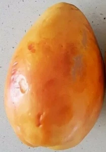MANGO PAPAYA 30 SEEDS DWARF RARE - EXOTIC Fruit Salad Champion Papaya ORGANIC - Picture 1 of 8
