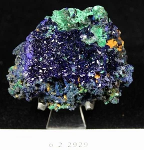 65g 60mm dal Laos - Azzurrite blu elettrico e malachite verde CM622929 - Foto 1 di 4