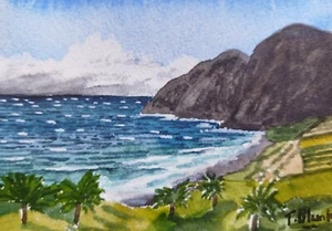 ACQUERELLO ORIGINALE - Sull'isola di La Gomera, Isole Canarie - Foto 1 di 1