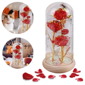 Mother/Valentine's Day Rose Gifts for Women Light Up Rose in Glass Dome Gifts AU - Picture 1 of 14