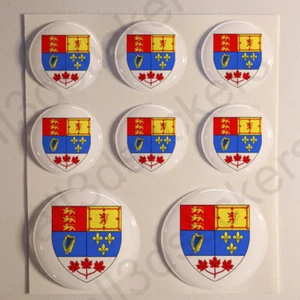 Adesivo Canada Resinato 3D Adesivi Emblema Stemma Canada Resinati TONDO Resine - Imagen 1 de 1